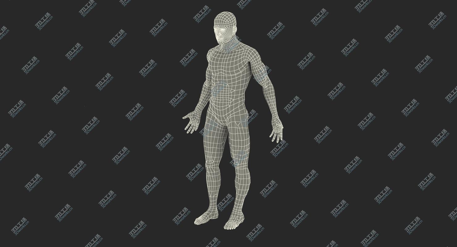 images/goods_img/2021040232/Male Anatomy Muscular System 3D model/4.jpg